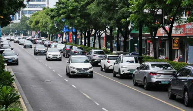 应用开发维护中的技术检查要点与处理建议
